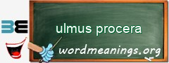 WordMeaning blackboard for ulmus procera